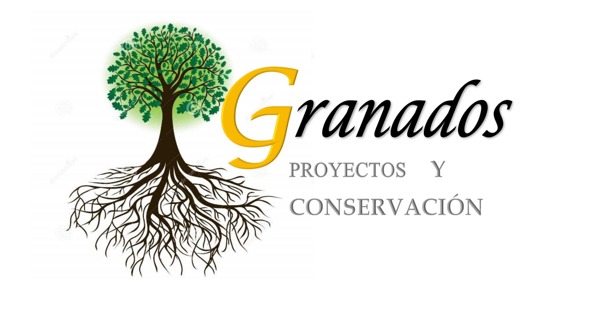 logoweb granados