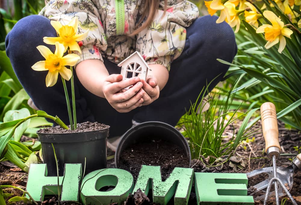 empresa jardinería en Alcorcón